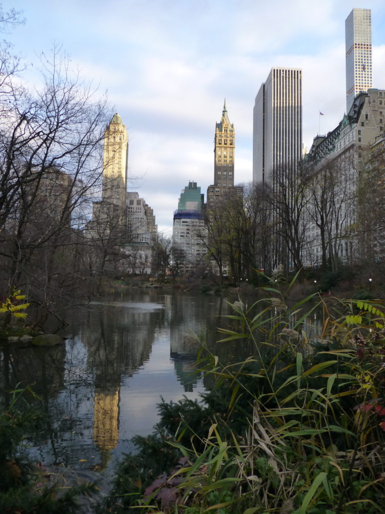 Central Park