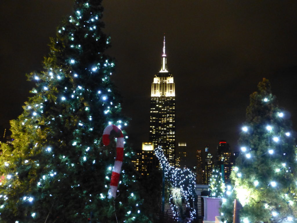 View from 230 Fifth Rooftop Bar