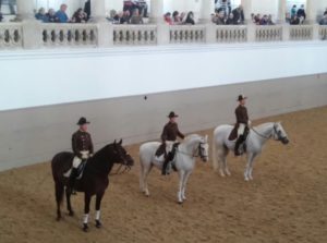 During Morning exercise