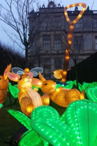 Bunnies in the garden