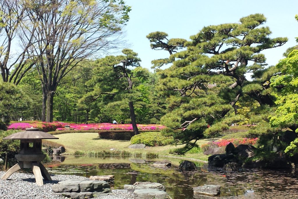 Pond in Ninomaru garden