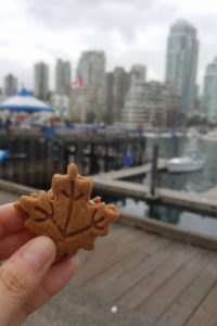 Maple cookie