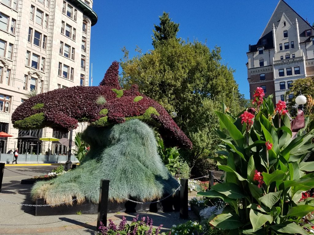 Orca floral display