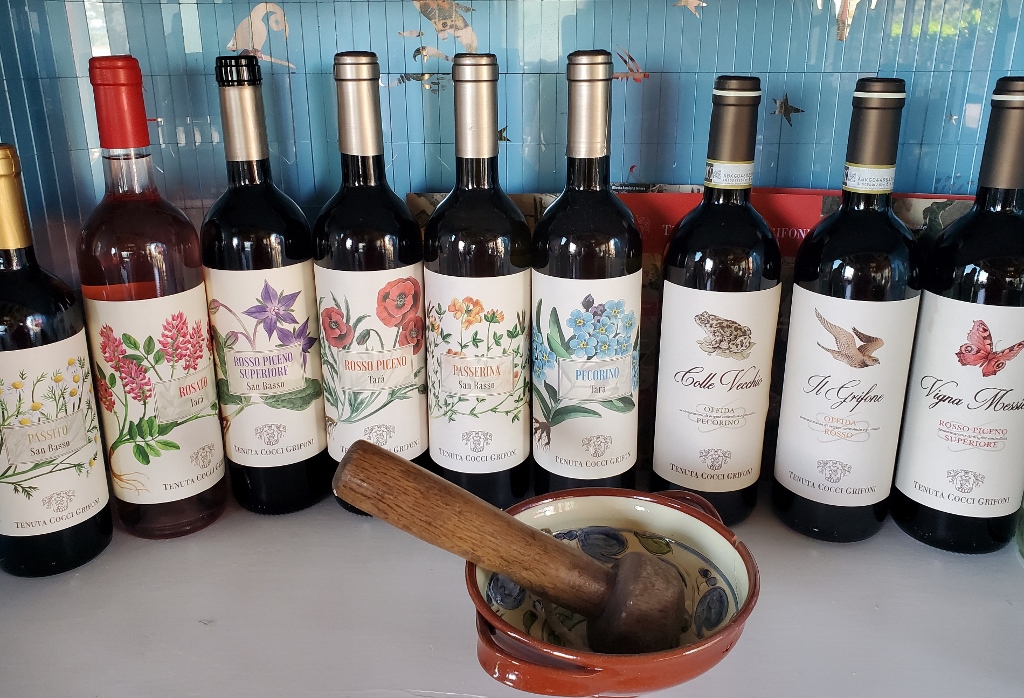 Wine tasting and lunch at Tenuta Cocci Grifoni Winery, Italy. » Noshing ...